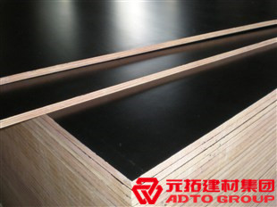 廊坊十大名牌模板廠，推薦中模元拓