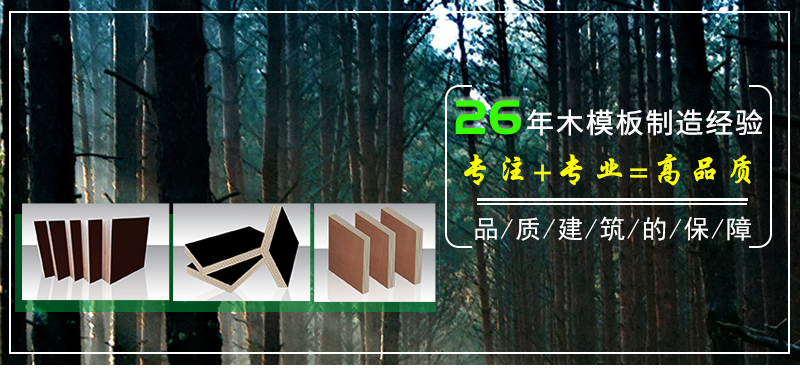 全樺木芬蘭膜清水模板  圖1