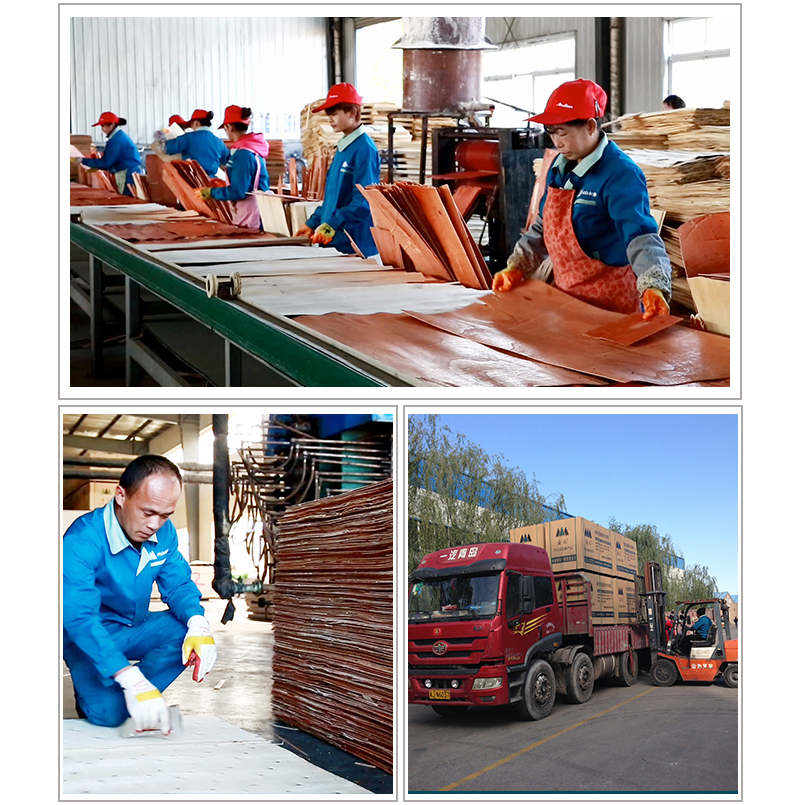 全樺木芬蘭膜清水模板  工廠展示2