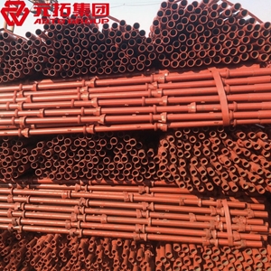 圖片 碗扣腳手架立桿3.0m