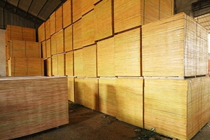 圖片 建筑木模板