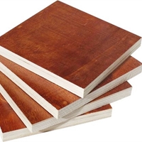 圖片 清水模板價格表